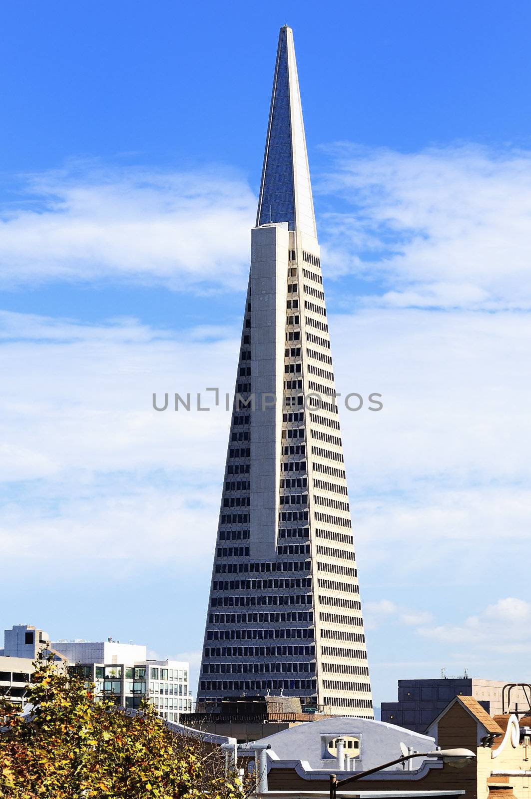 Transamerica building in San Francisco, USA