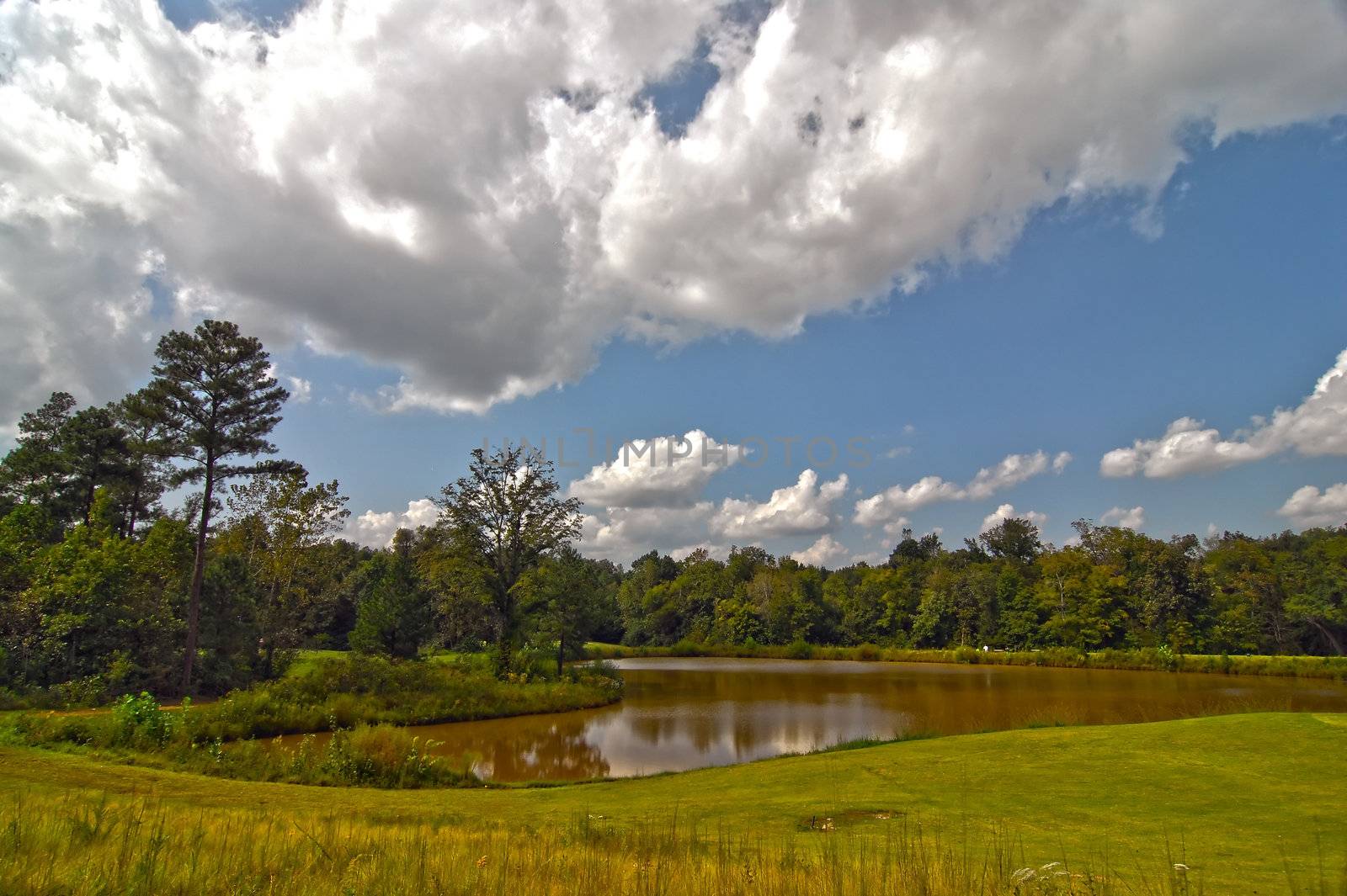 golf course landscape by digidreamgrafix