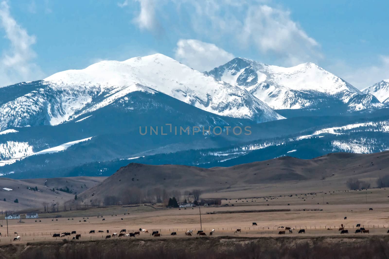 rocky mountains montana by digidreamgrafix