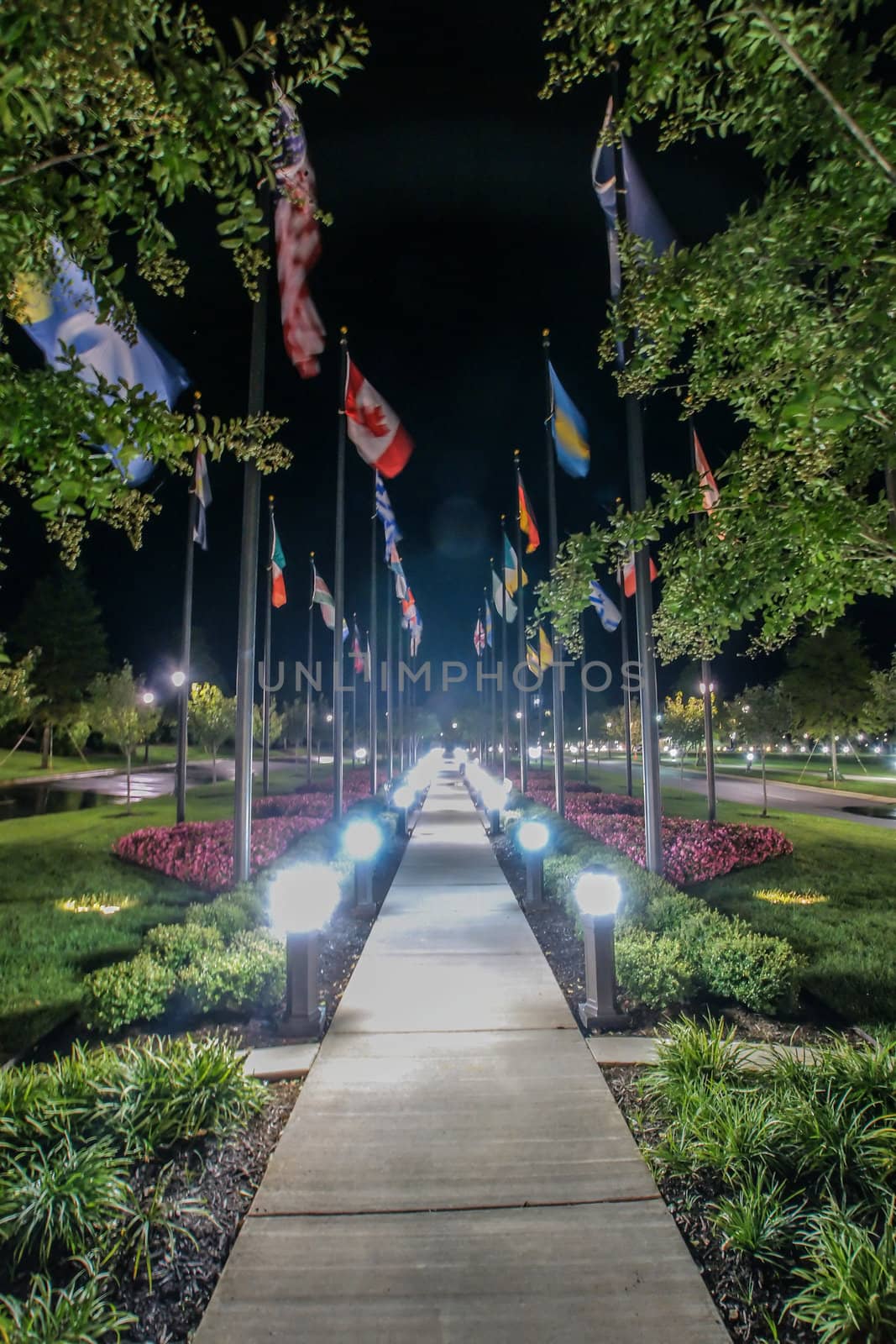 flags alley