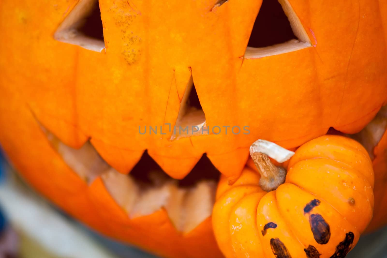 pumpkin eating pumpkin by digidreamgrafix