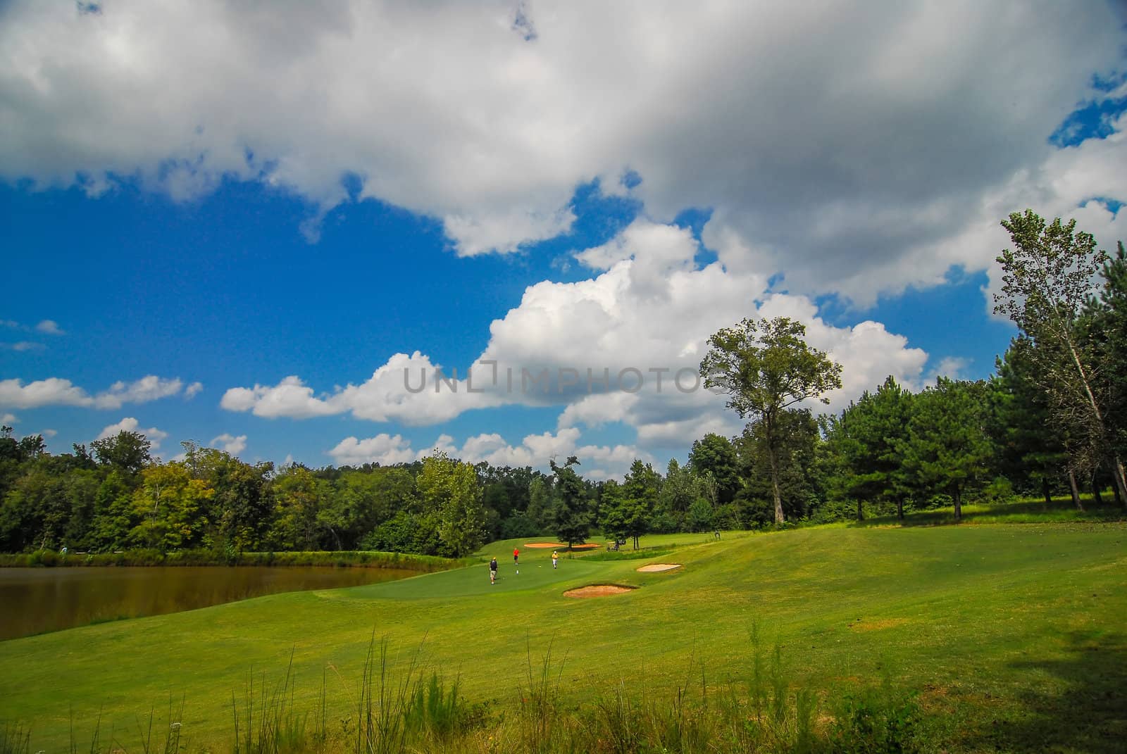 golf course landscape by digidreamgrafix