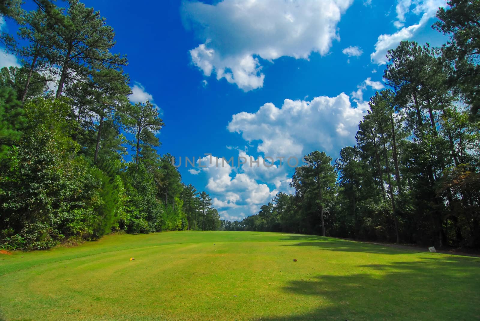 golf course landscape by digidreamgrafix