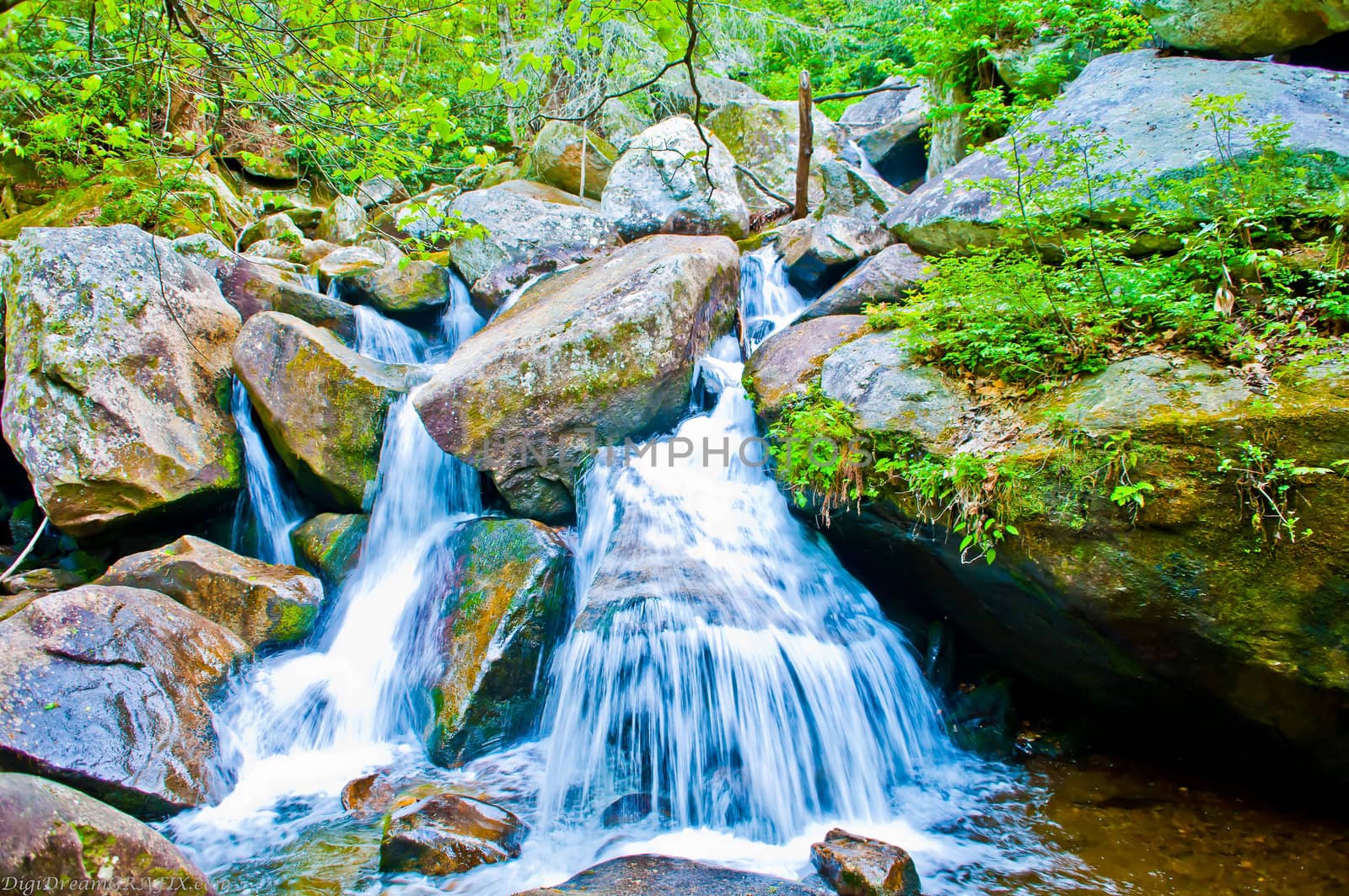 mountain streams