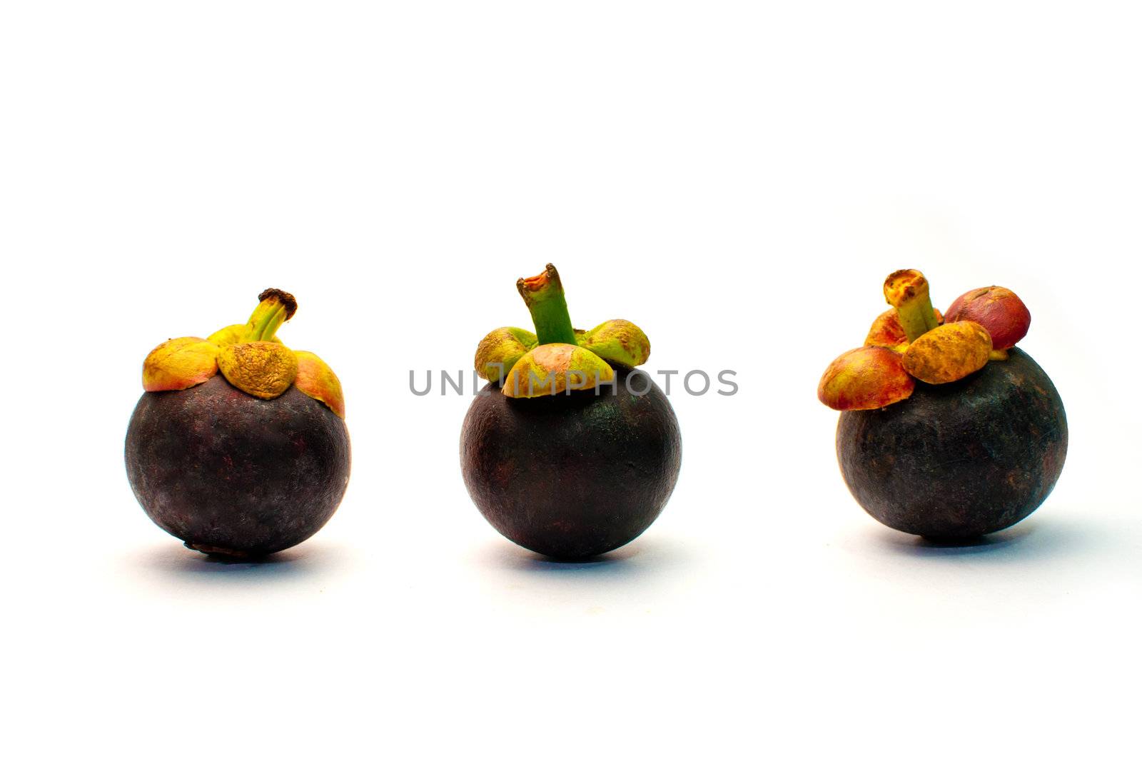 mangosteen on white  background