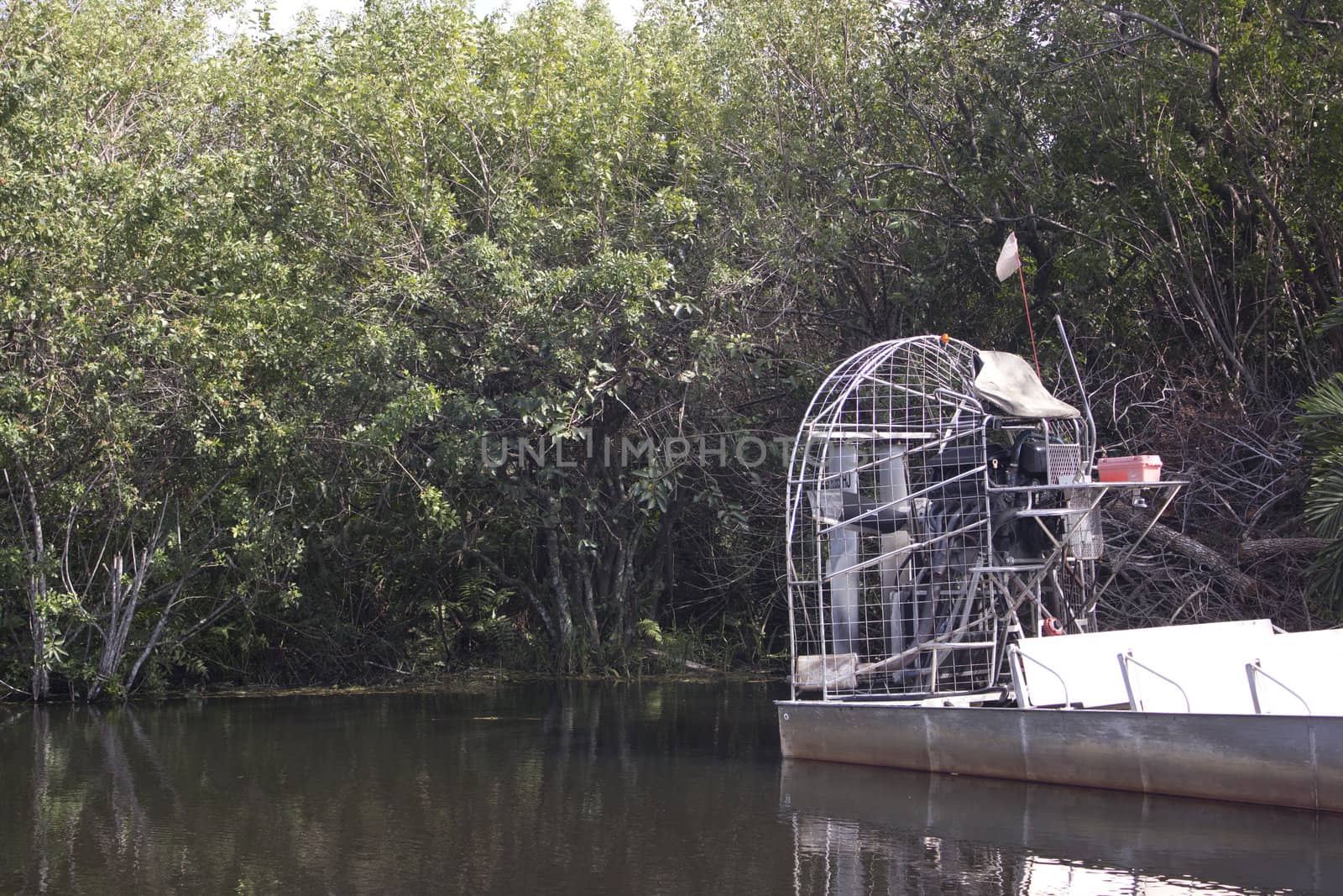 An air boat in the Everglades National Park
