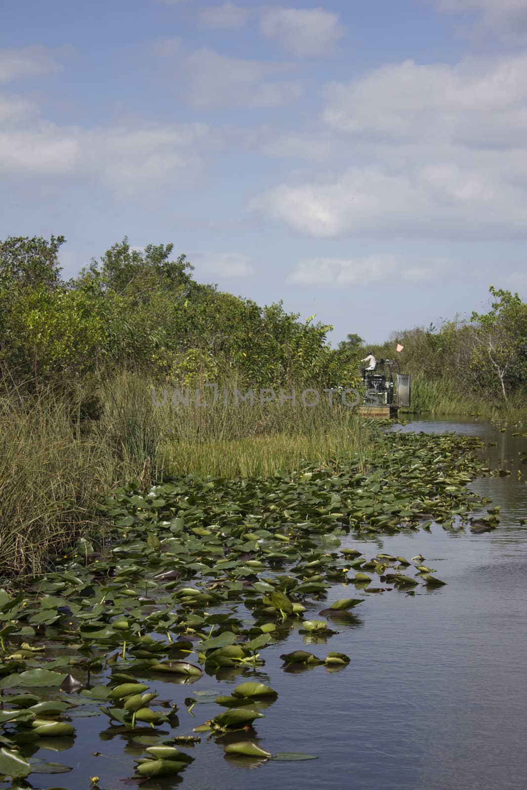 Everglades Swamp Air Boat Airboat motorboat by jeremywhat