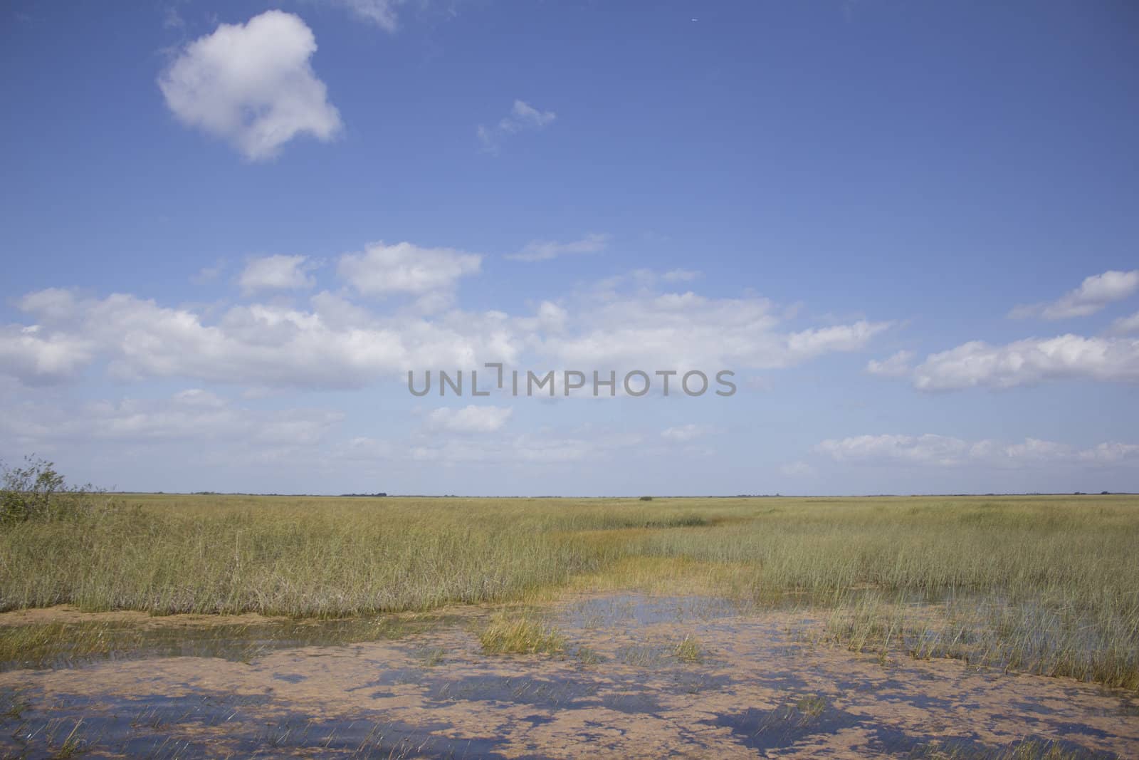 Everglades National Park in the summer.