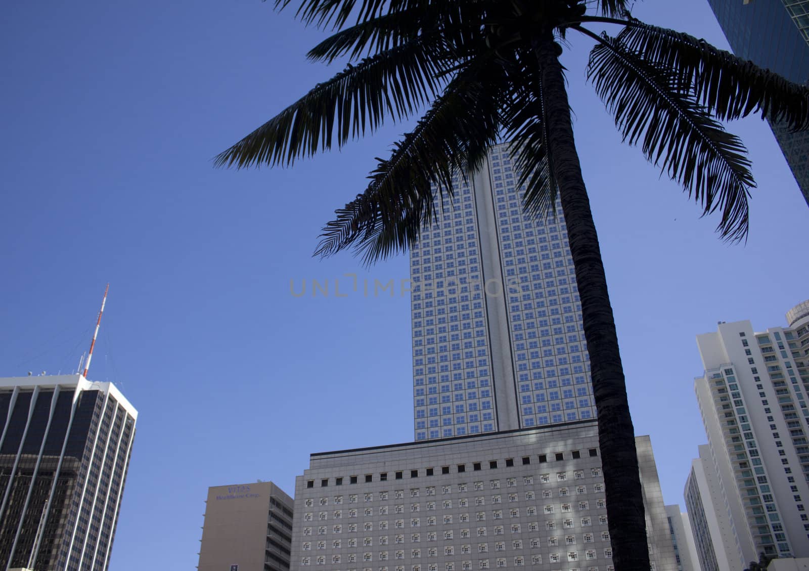 Building in Miami Florida by jeremywhat