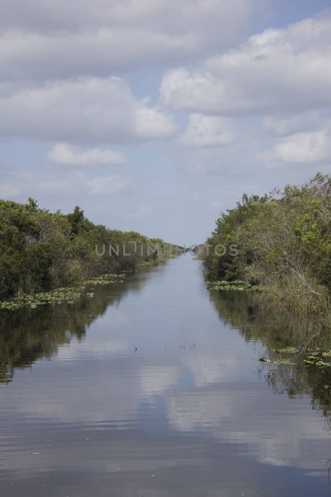 Everglades National Park by jeremywhat