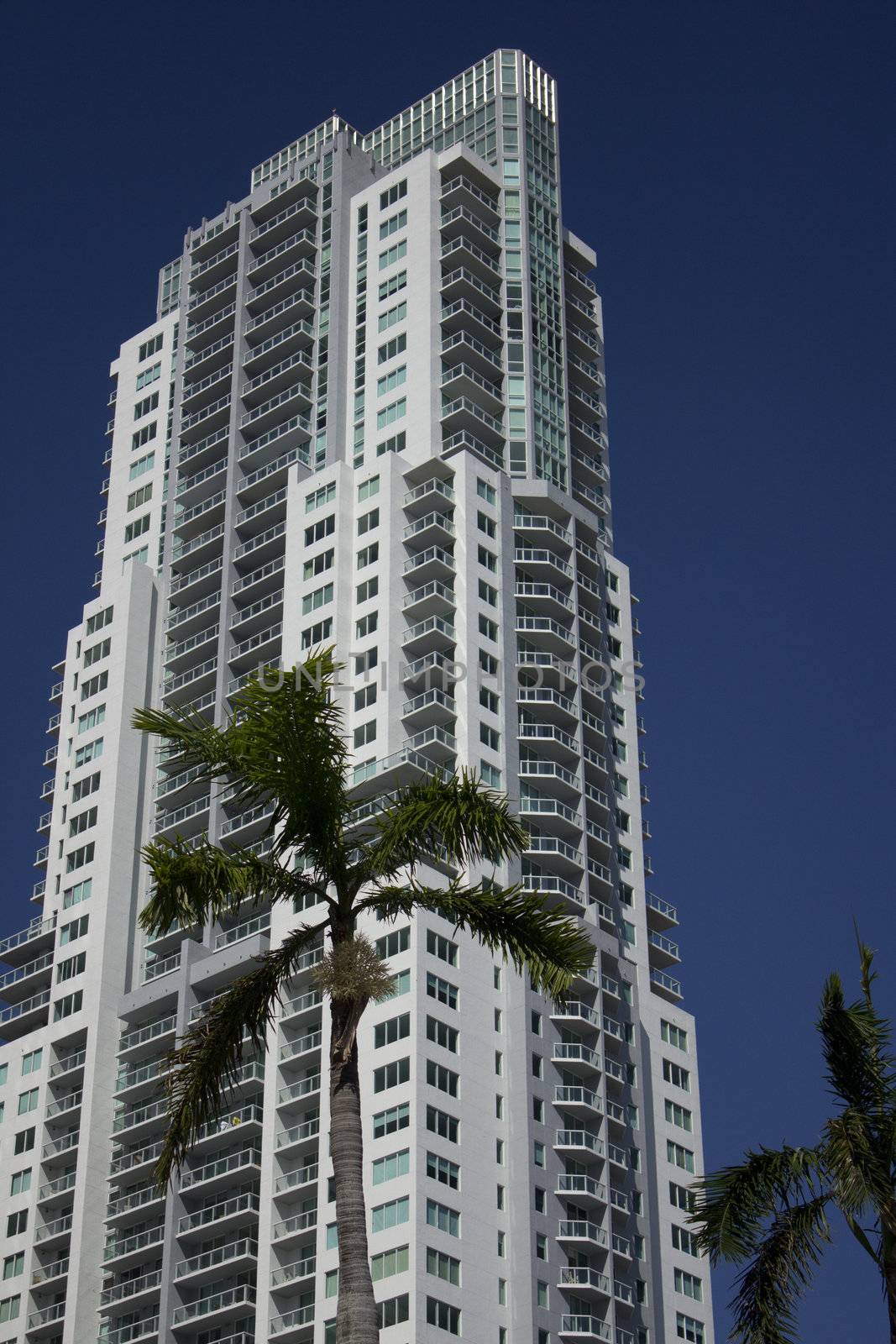 Condo or business building in Miami Florida
