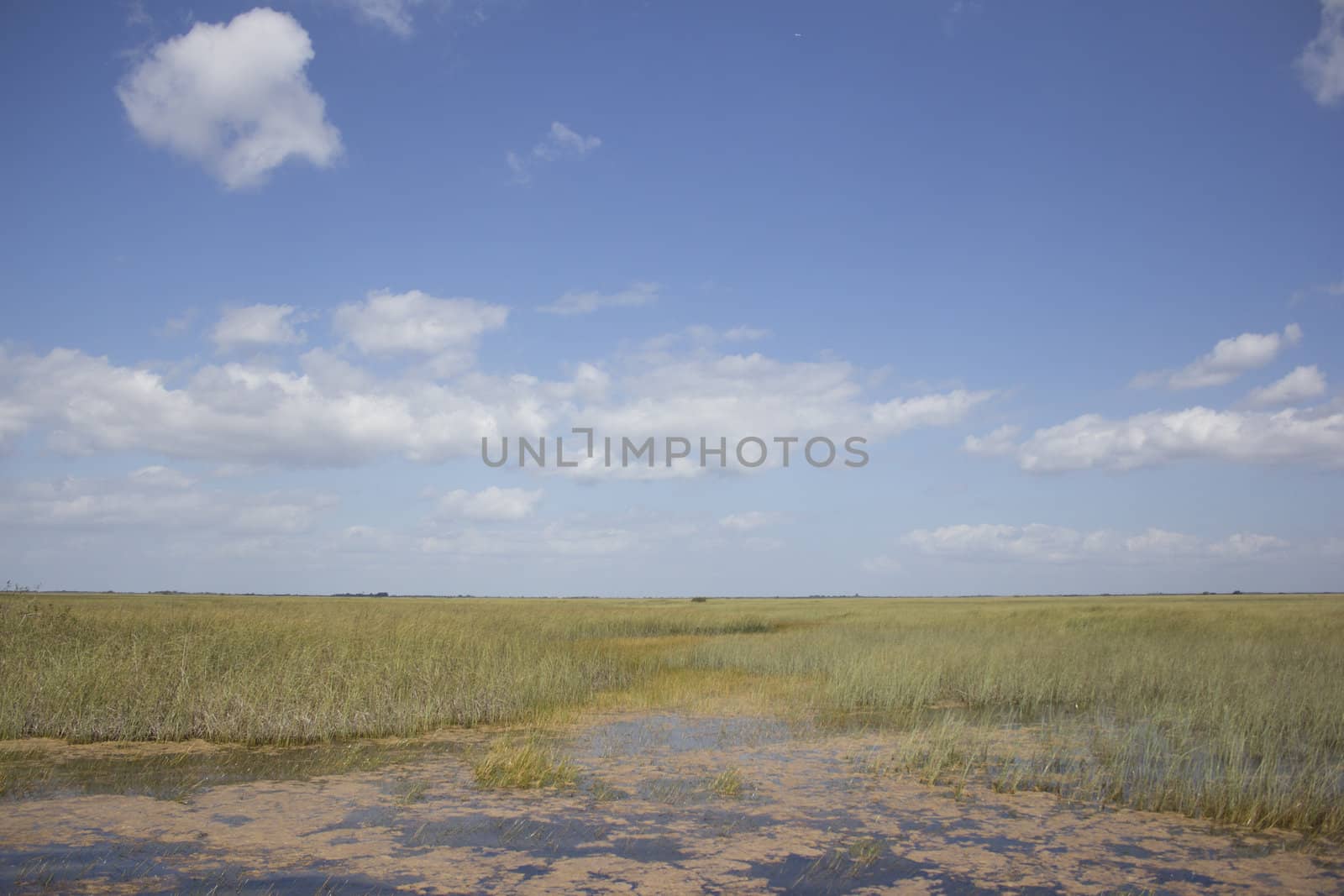 Everglades National Park in the summer.