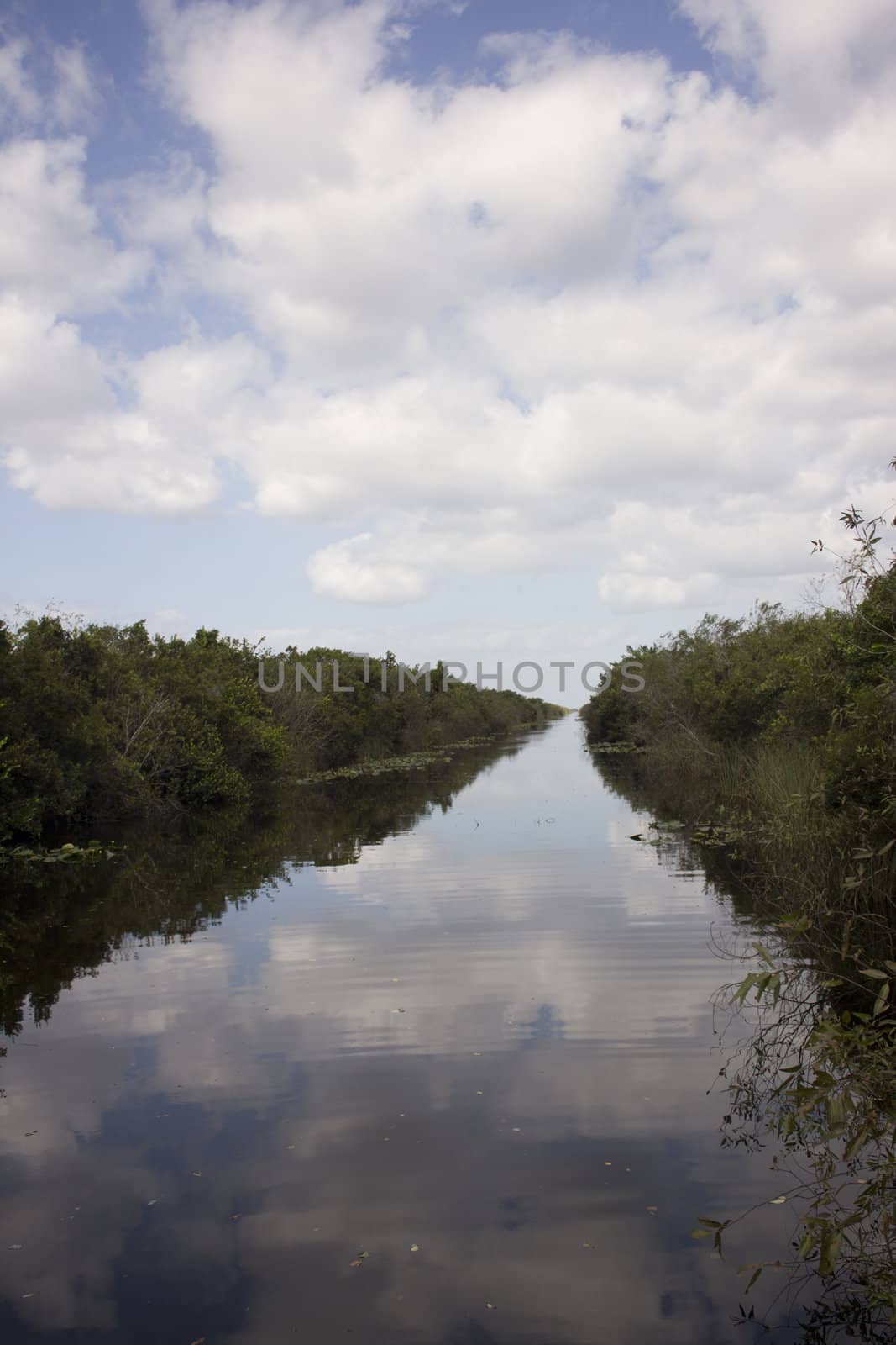 Everglades National Park in the summer.