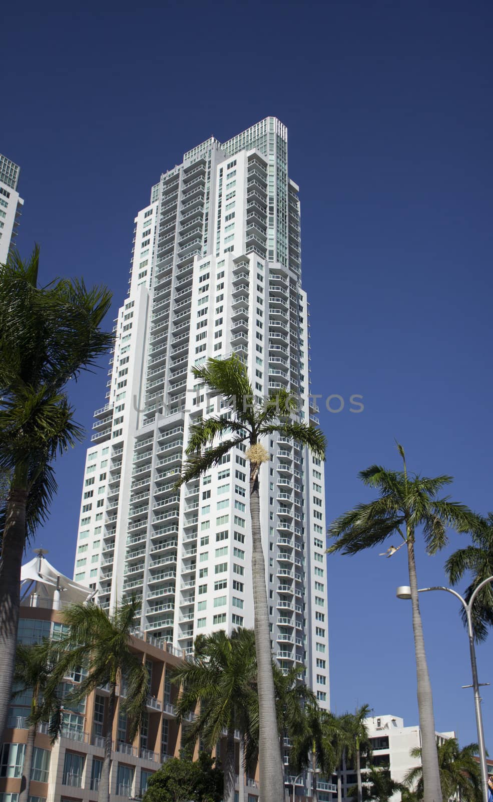 Condo or business building in Miami Florida