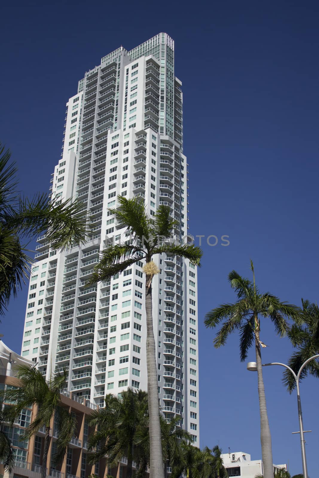 Building in Miami Florida by jeremywhat