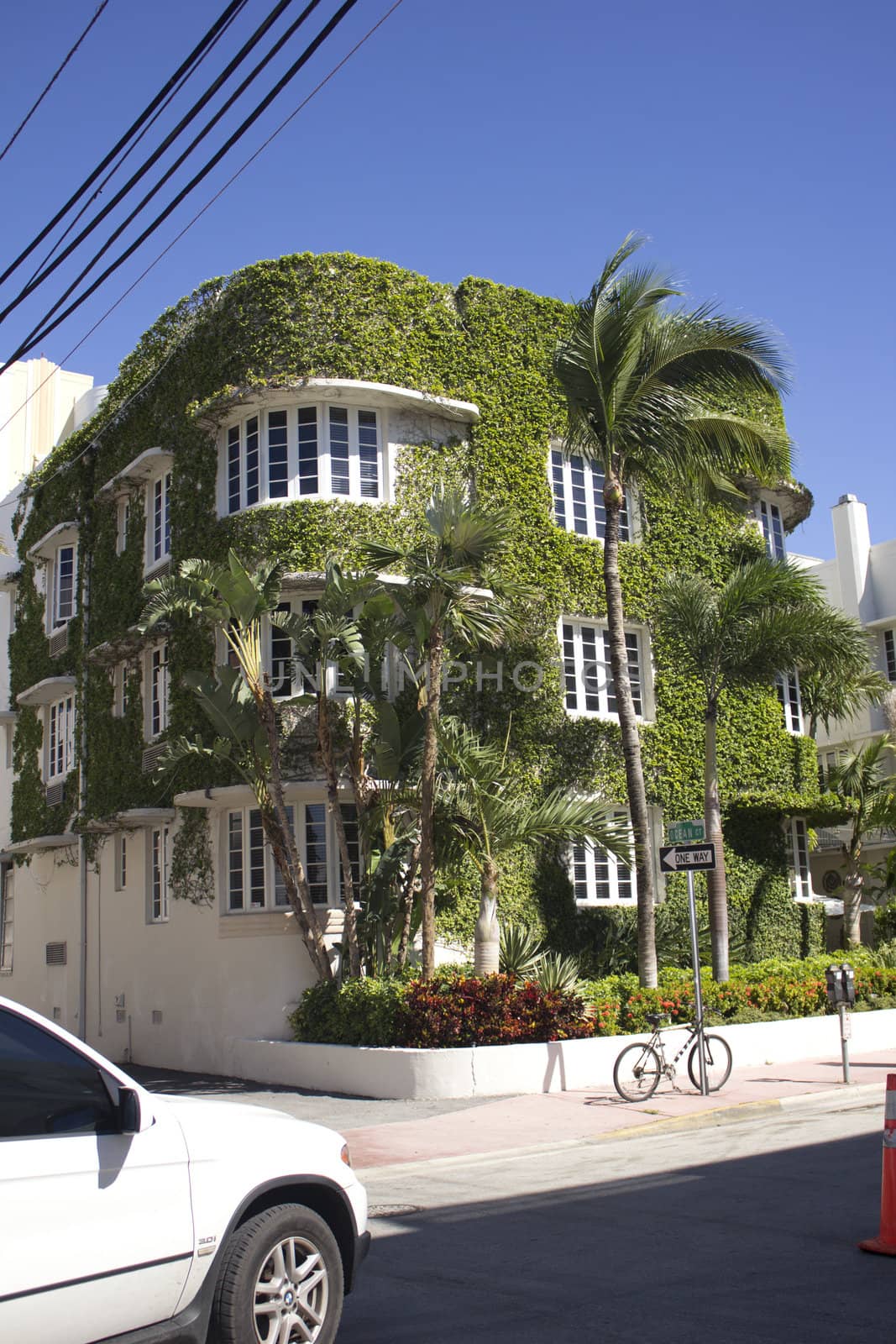 Building in Miami Florida by jeremywhat