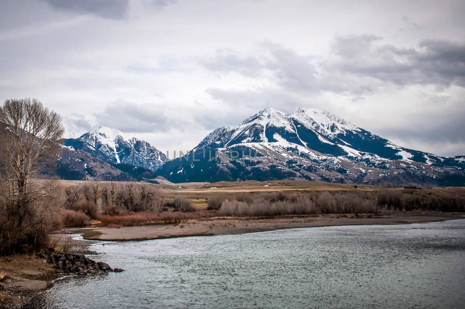 rocky mountains at yellowstone river