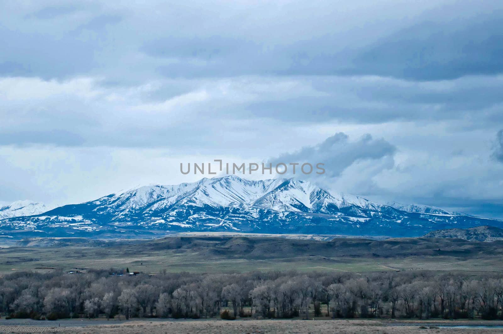 rocky mountains at yellowstone river