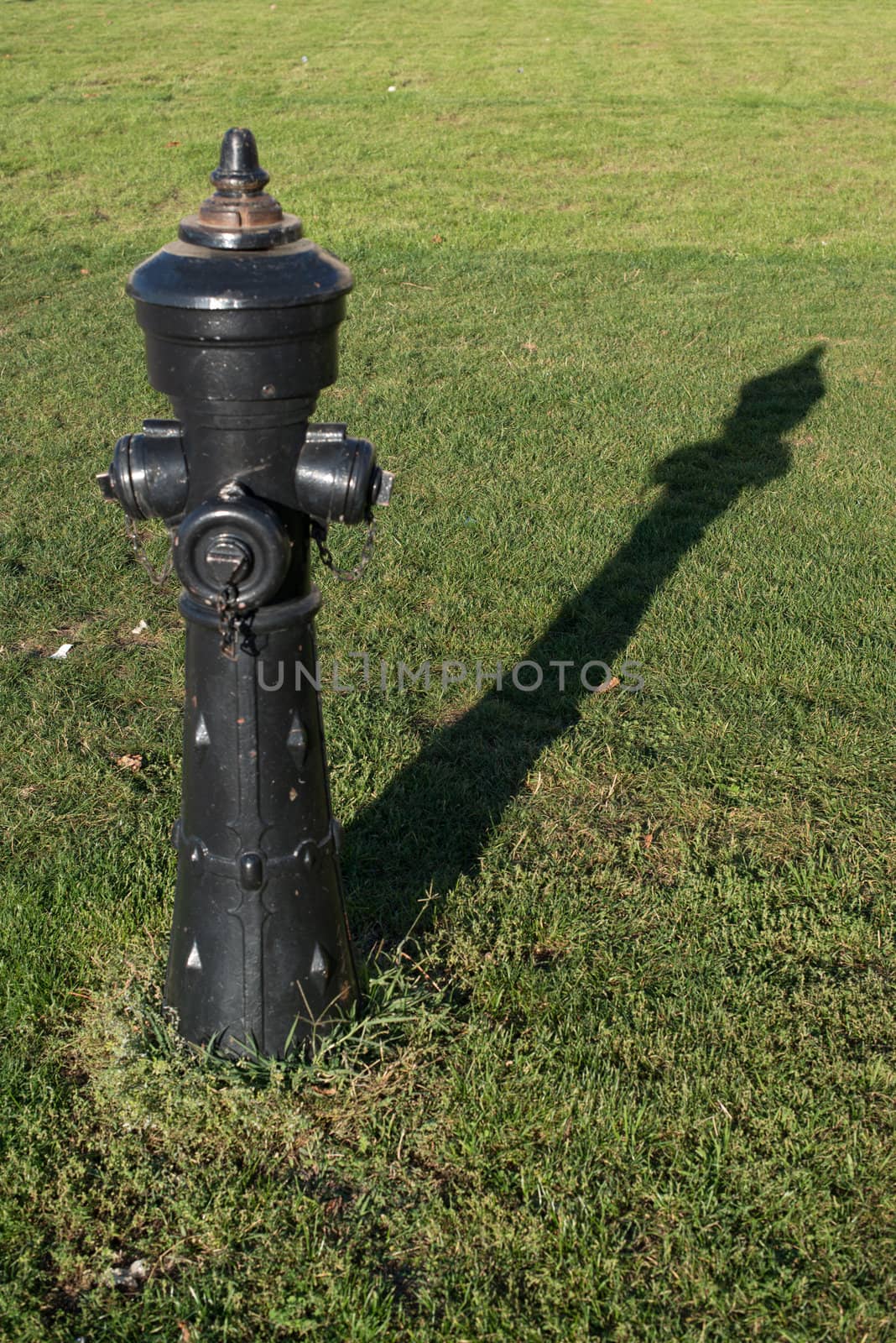 Old black fire hydrant in a meadow with great shadows