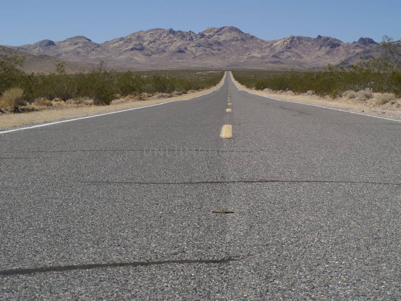 Endless road at the desert