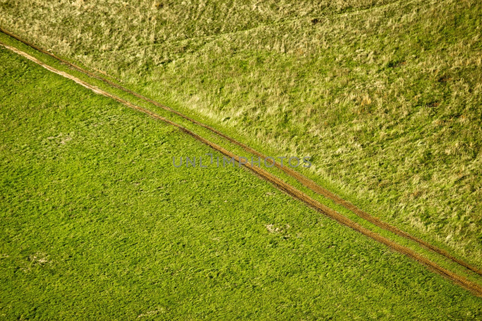 Green meadow diagonal tractor track aerial view
