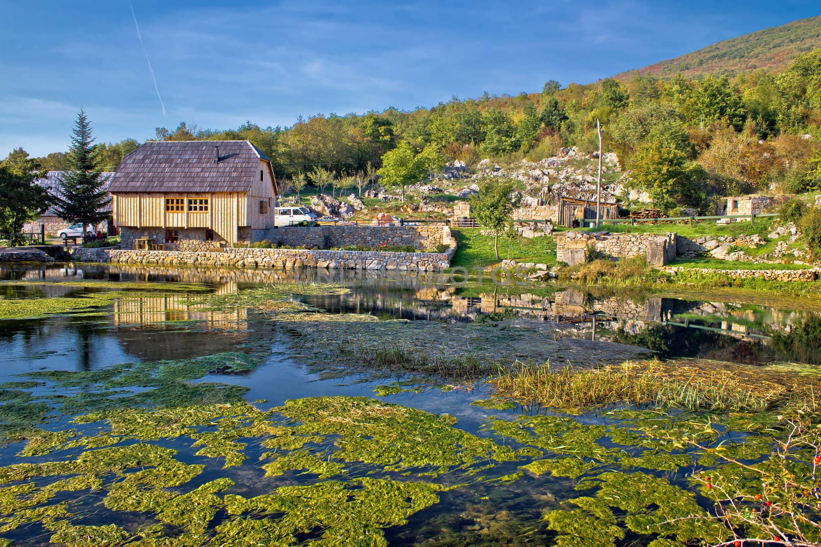 Gacka river spring, colorful nature at the source in Lika region, croatia