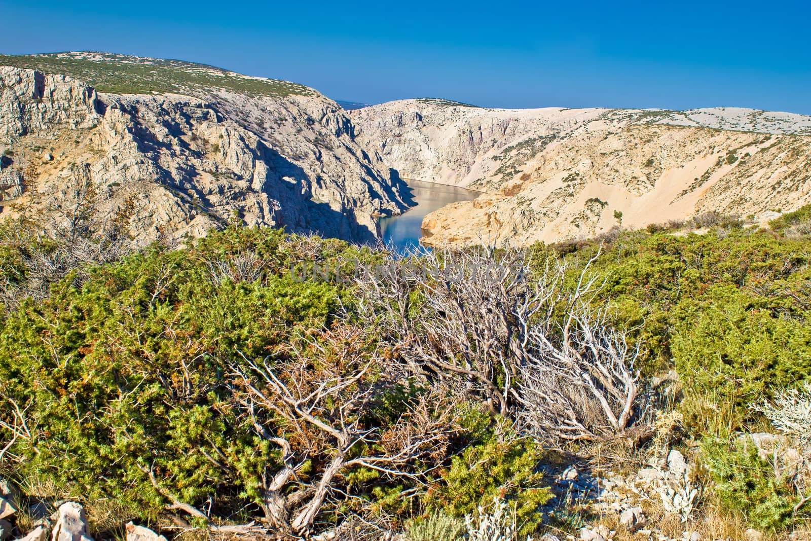 Wild scenery, river of Zrmanja grand canyon nature park, Dalmatia, Croatia