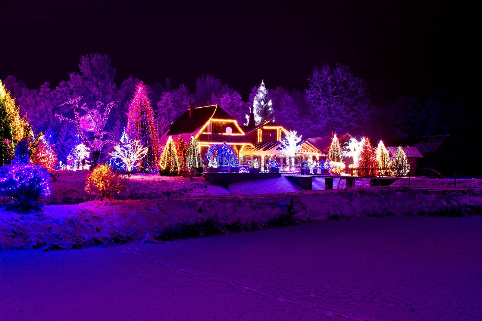 Christmas fantasy - park, forest, pine tree & lodge in xmas lights