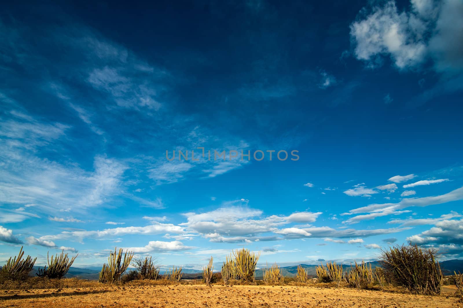 A view of a desert in Colombia with a deep blue sky.