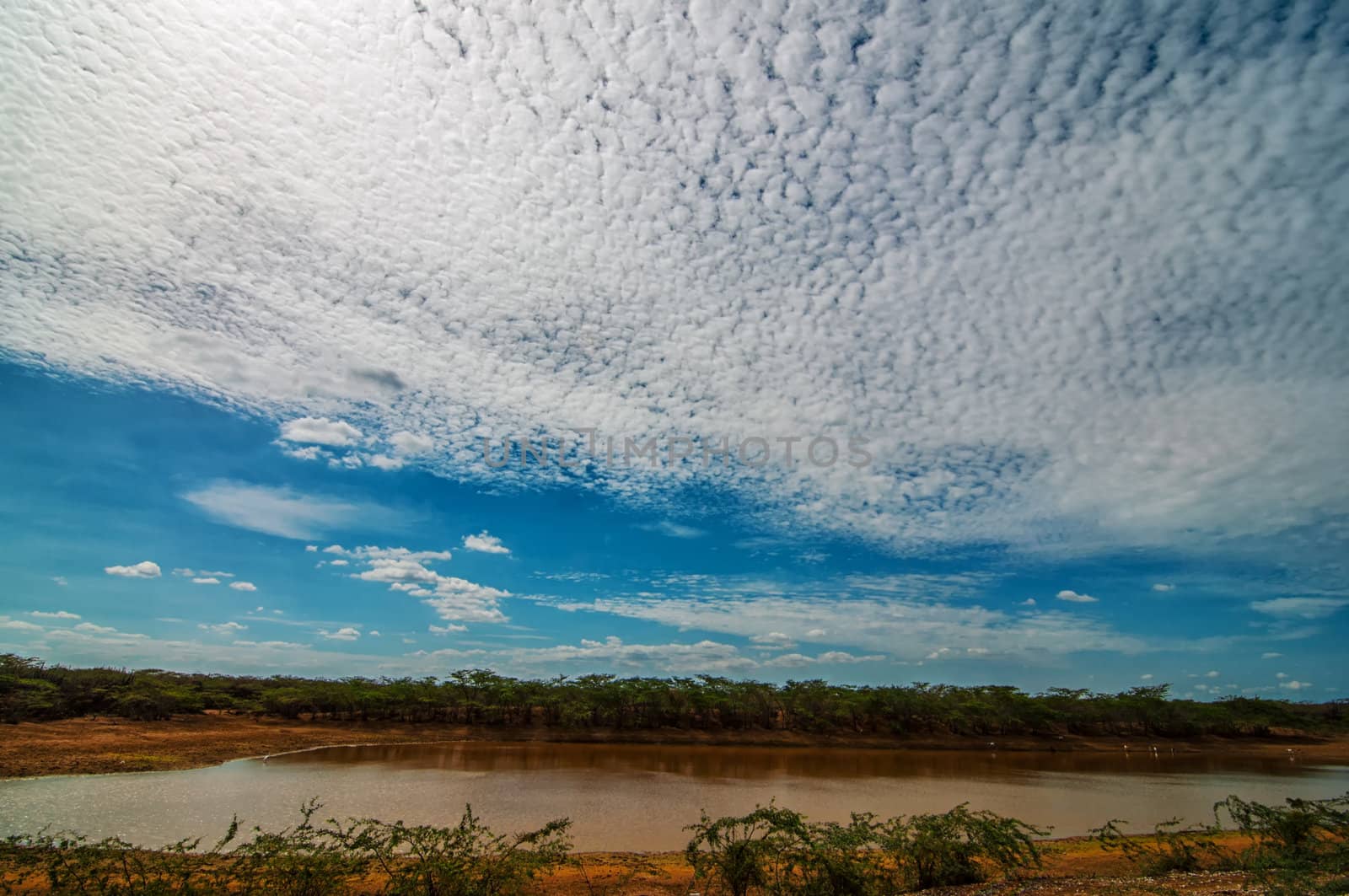 A lake in the desert in La Guajira, Colombia.