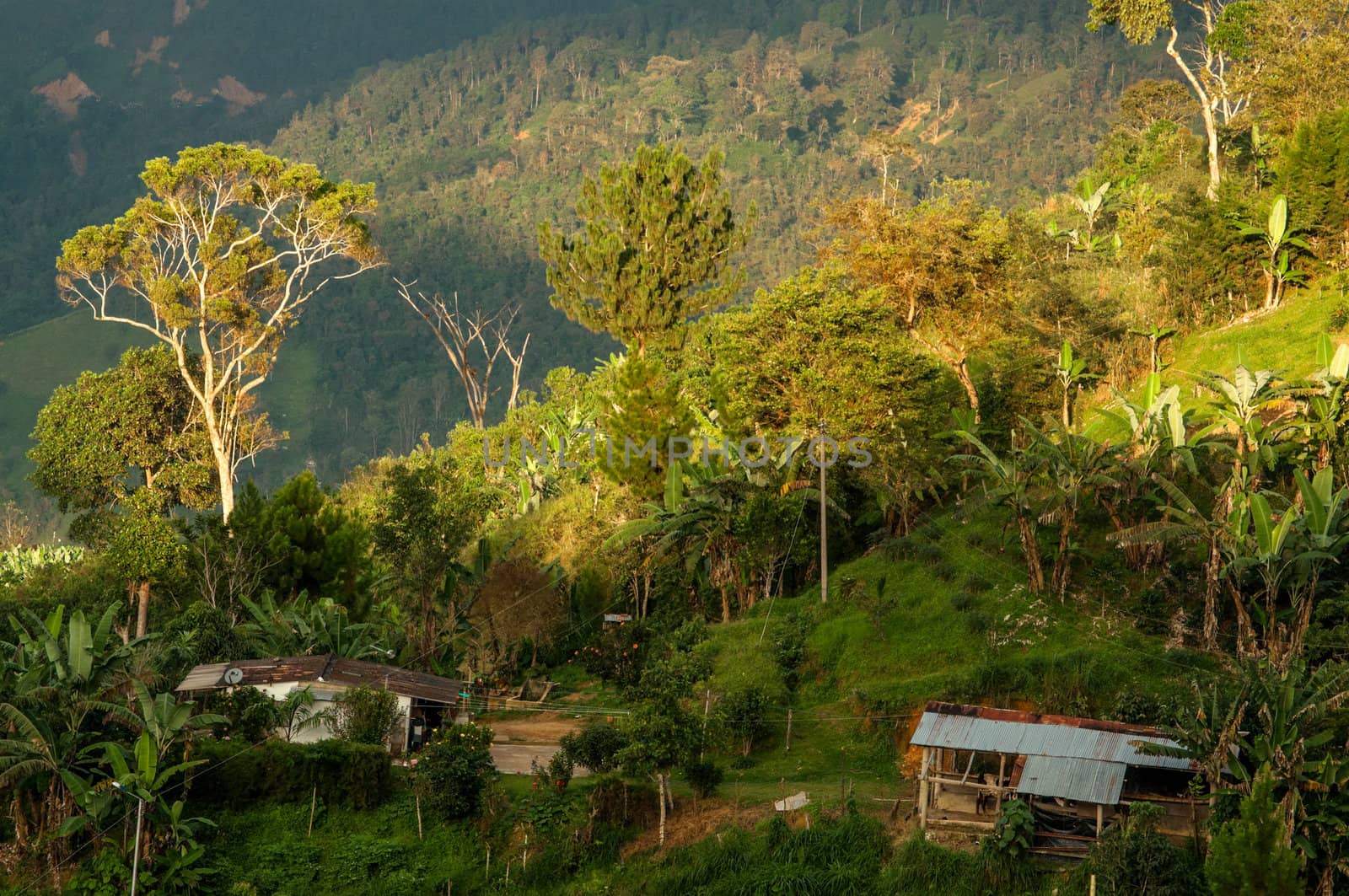 A view of the countryside in Santander, Colombia.