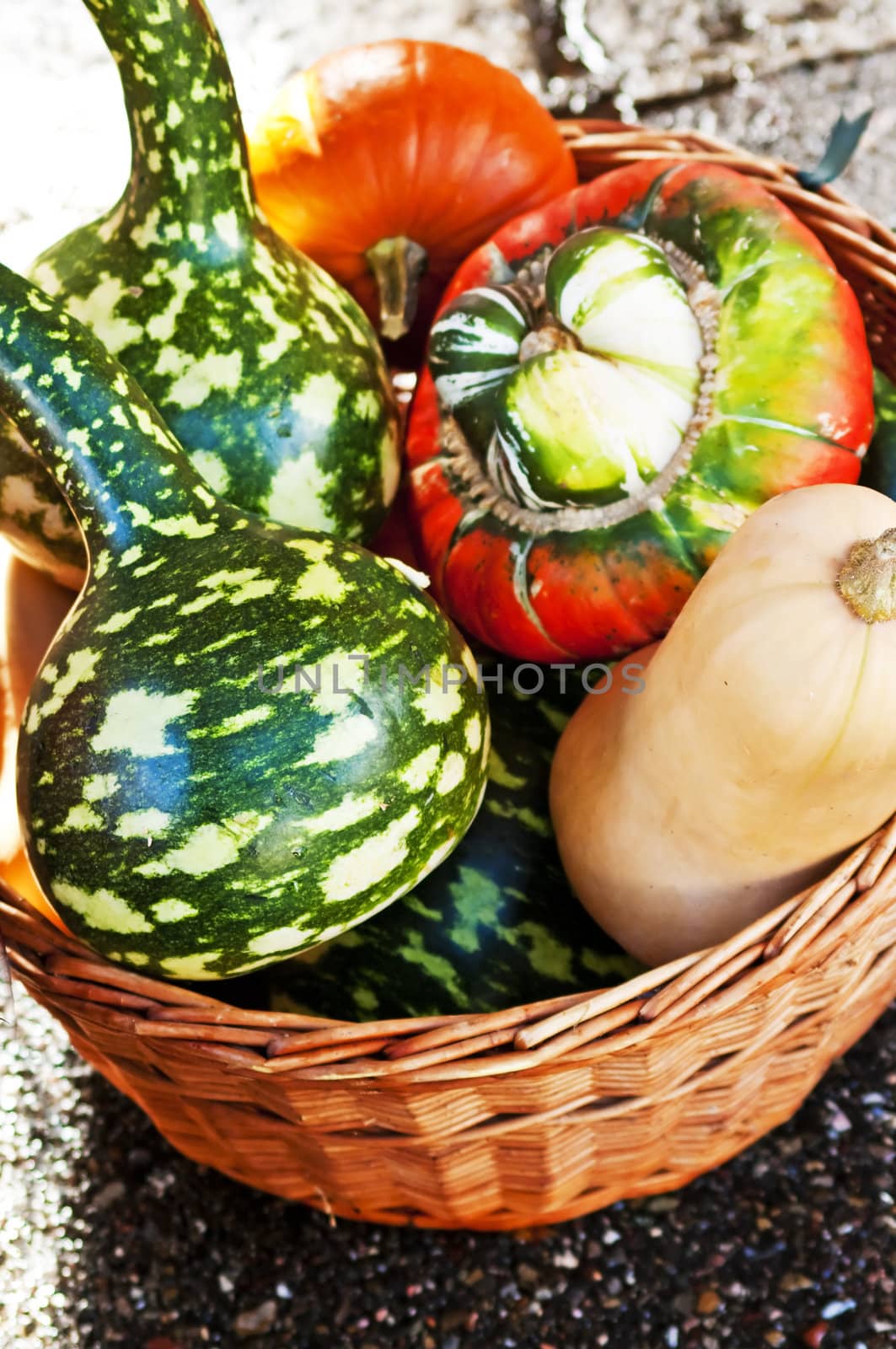 squash for decoration