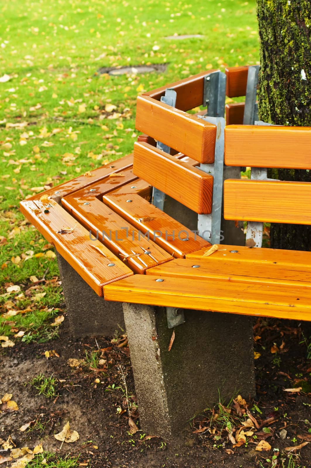 park bench in autumn