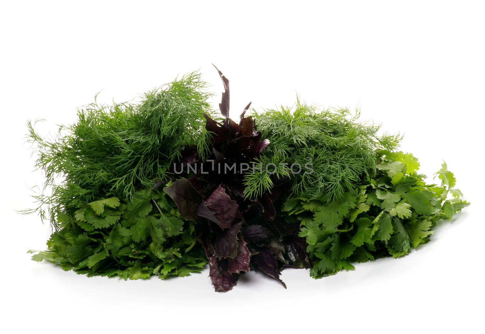 Heap of Fresh Parsley, Dill and Basil isolated on white background
