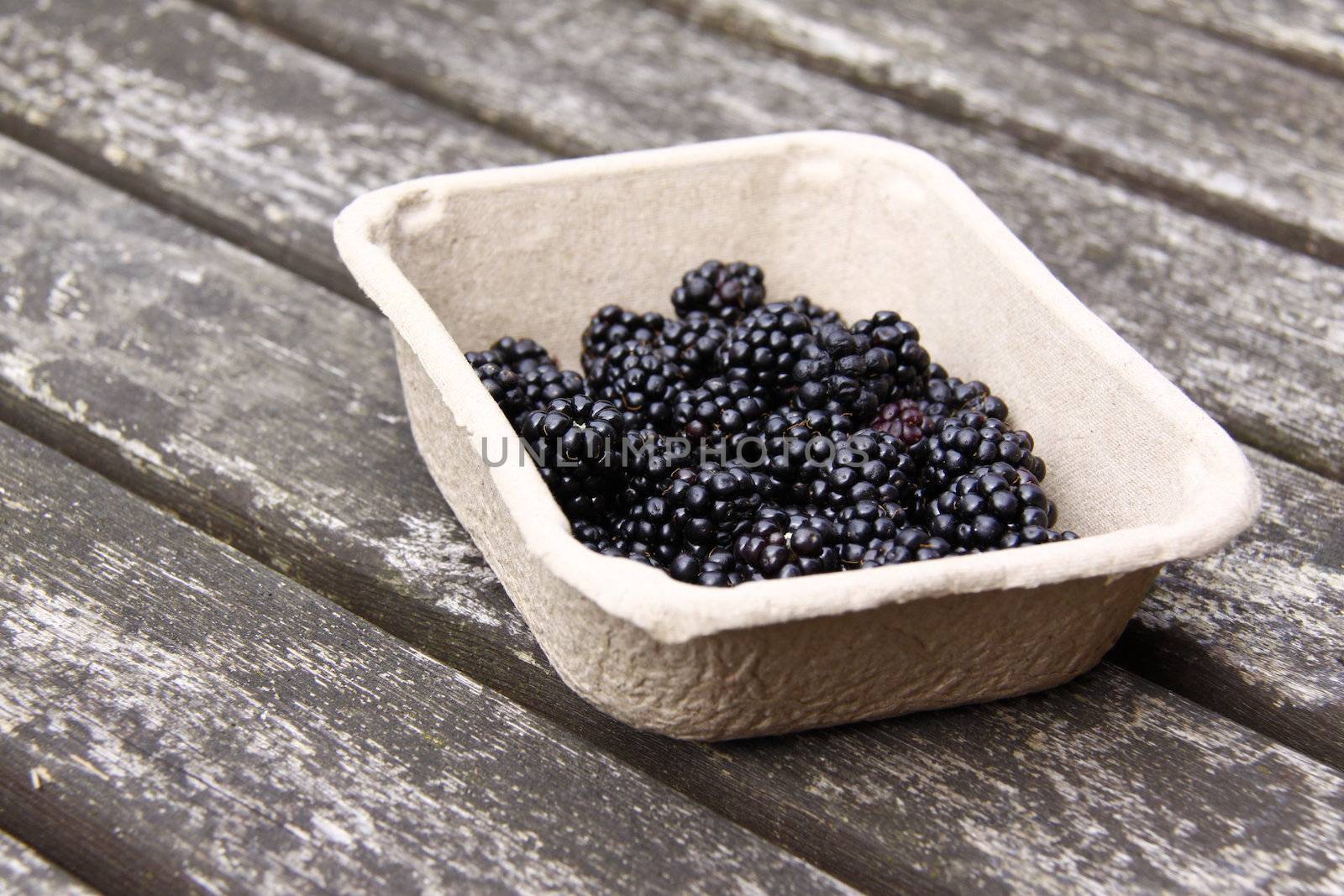 blackberries by leafy