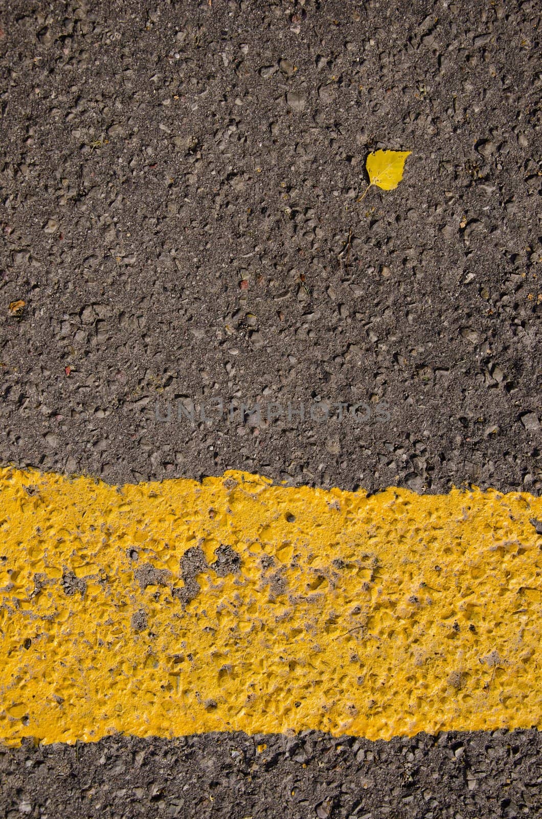 Asphalt closeup yellow line road markings and small birch leaf.