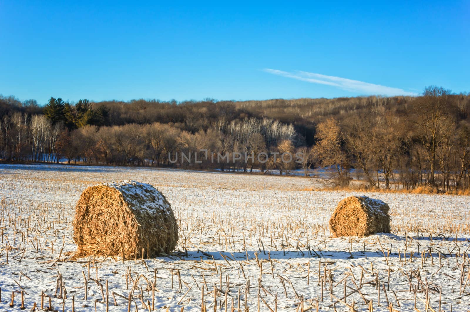 Haystacks on the Frozen Field in Rural Minnesota.
