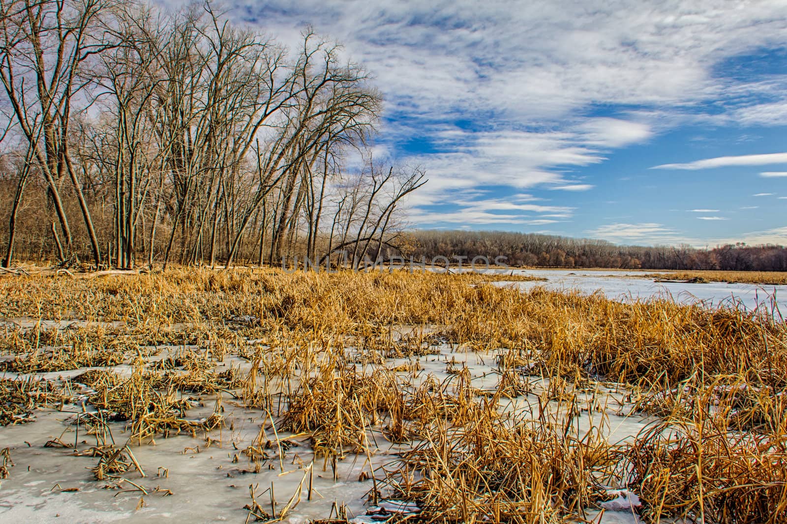 Winter at the Marsh by wolterk