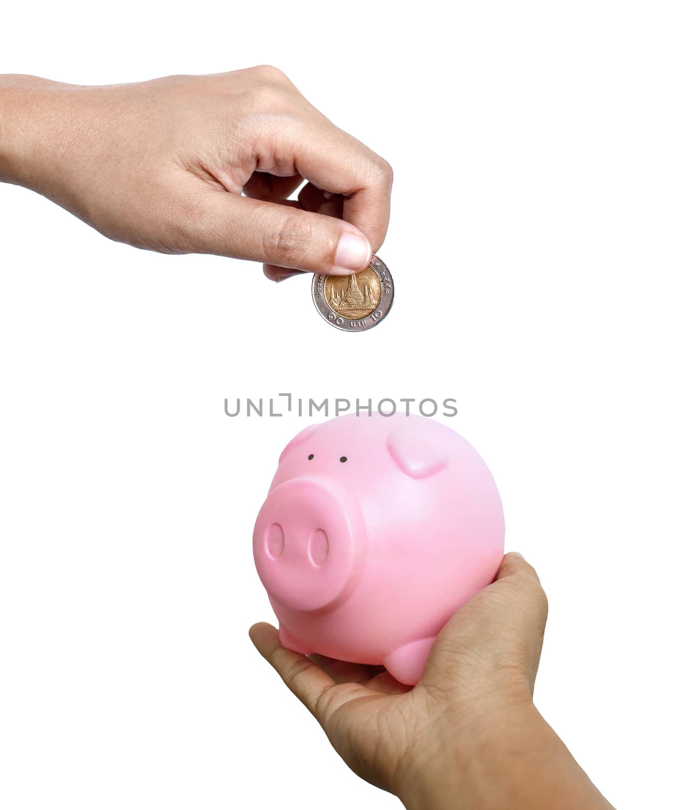 Hand putting coin into the pink piggy bank