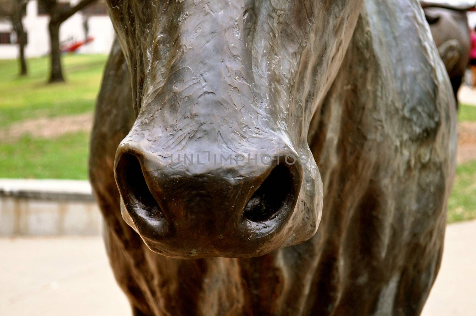 Waco statue longhorn closeup