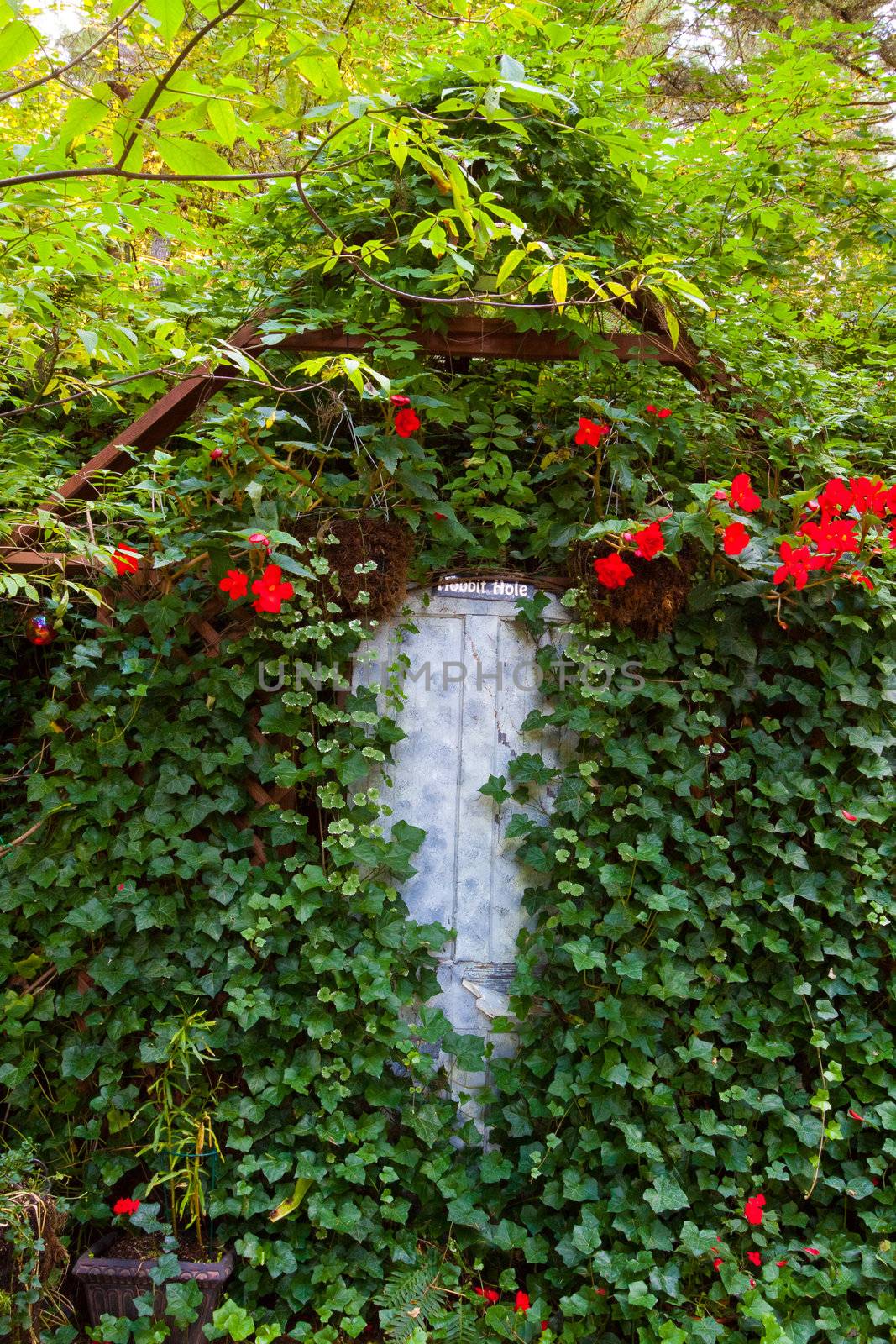 Ivy Covered Door by joshuaraineyphotography