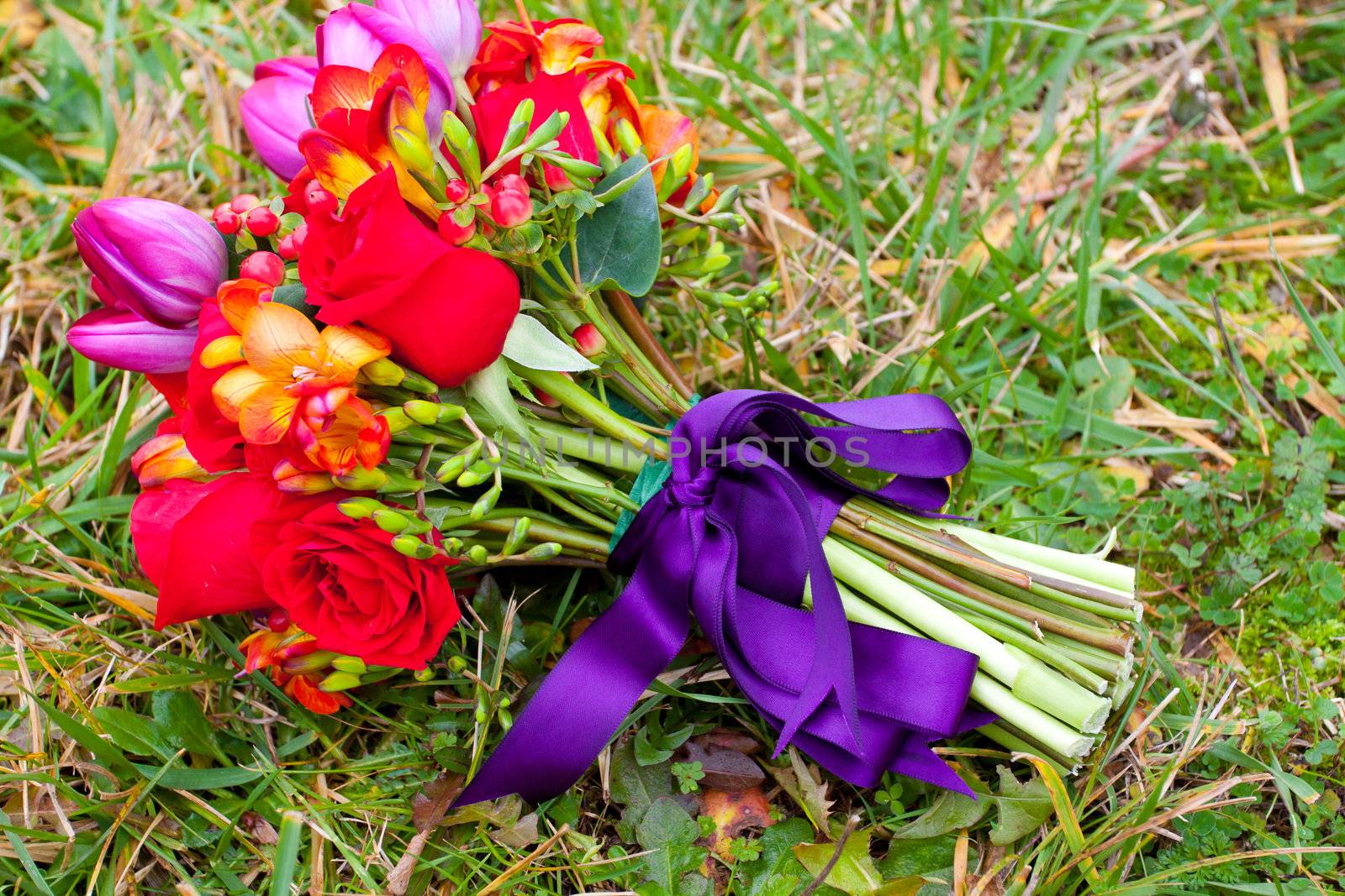 A bride's wedding bouquet of flowers sits in green grass on a wedding day. Red roses, tulips, and purple ribbon make up the arrangement.