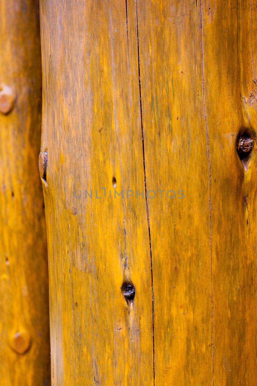 A background of wood grain creates a texture image in brown yellow. This is pine or fir in a vertical orientation.