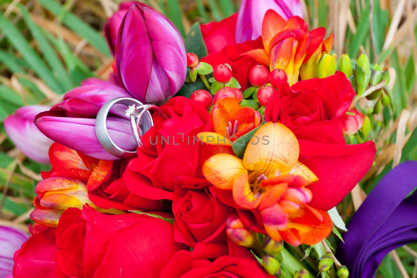 Wedding Rings on Flowers by joshuaraineyphotography