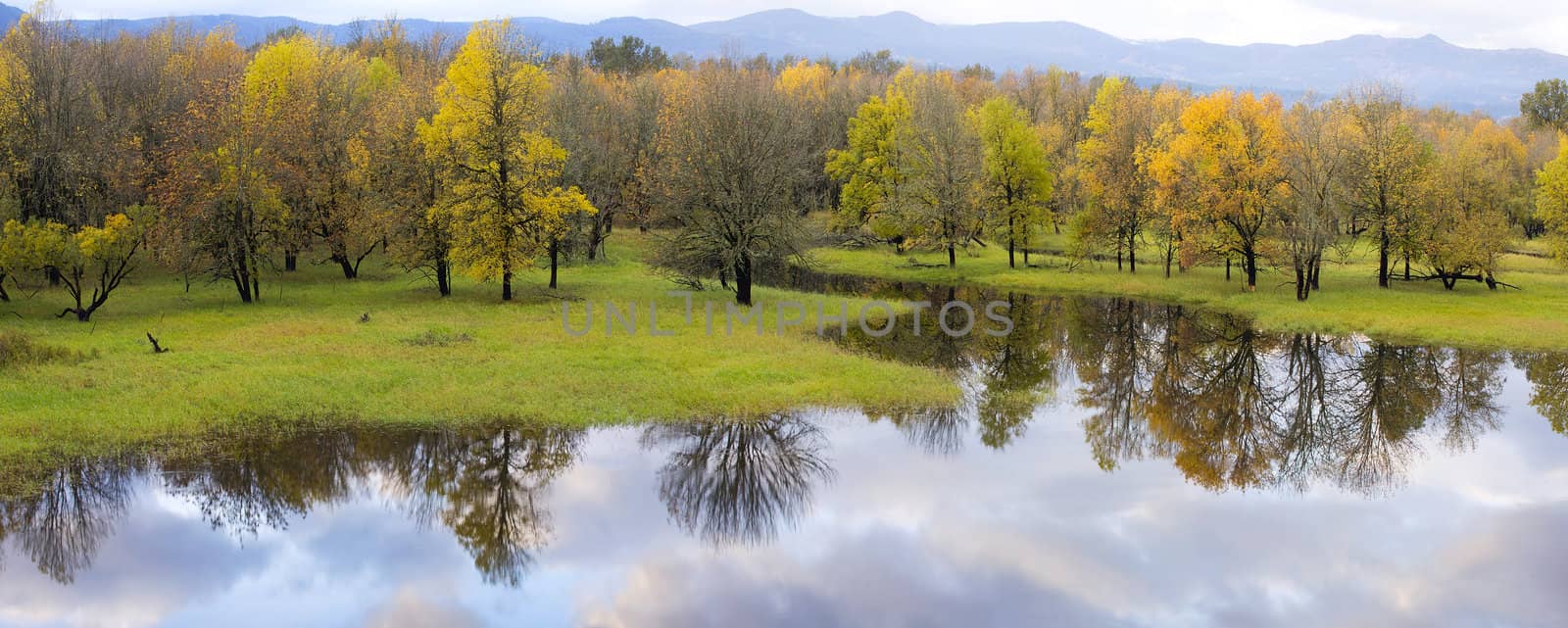 Columbia River Gorge National Scenic Area Wetlands Reflection in Fall Colors Panorama