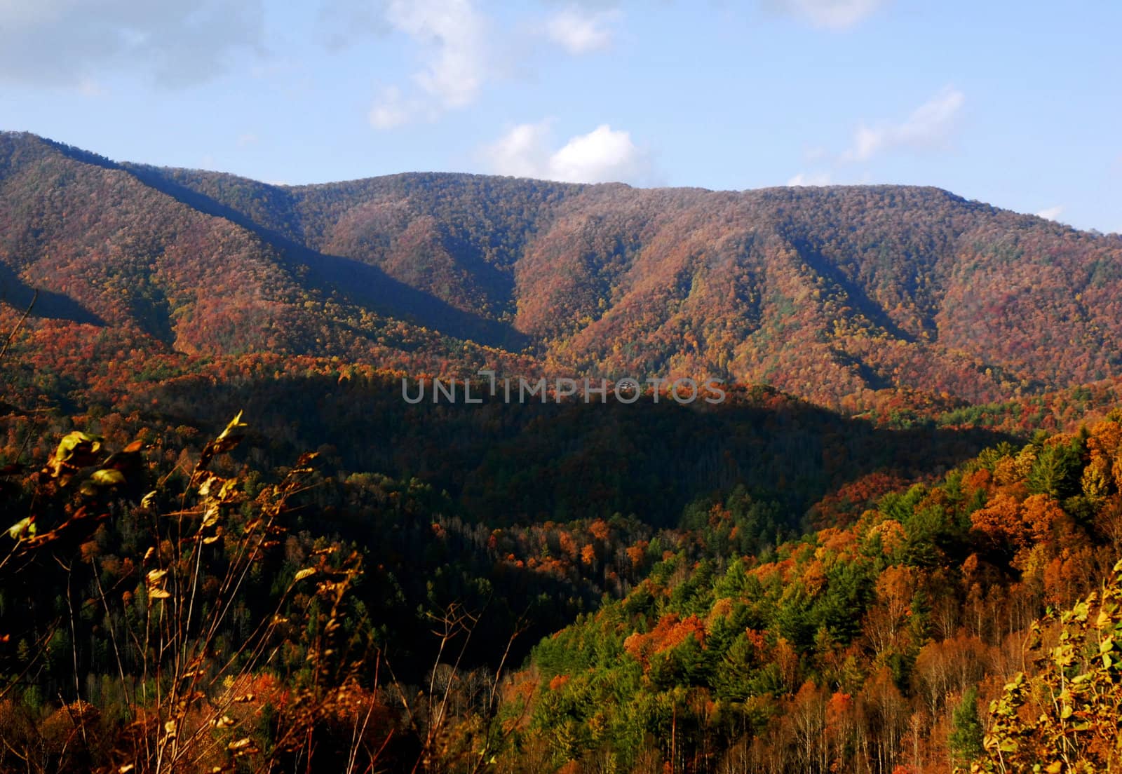 North Carolina Mountains