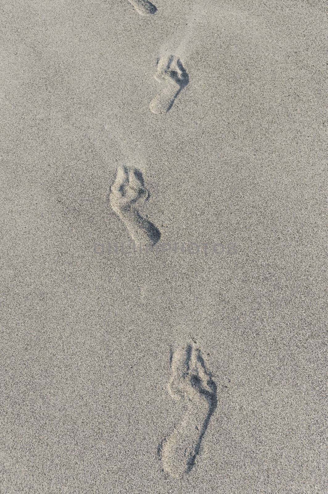 human footprints in the sand, vertical image