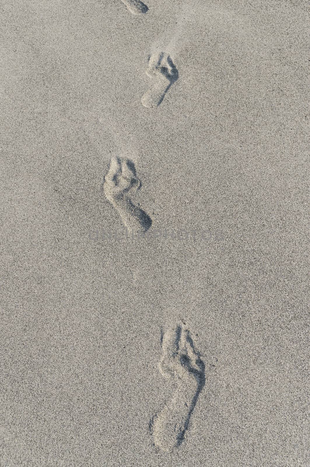 Footprints in the sand by gewoldi