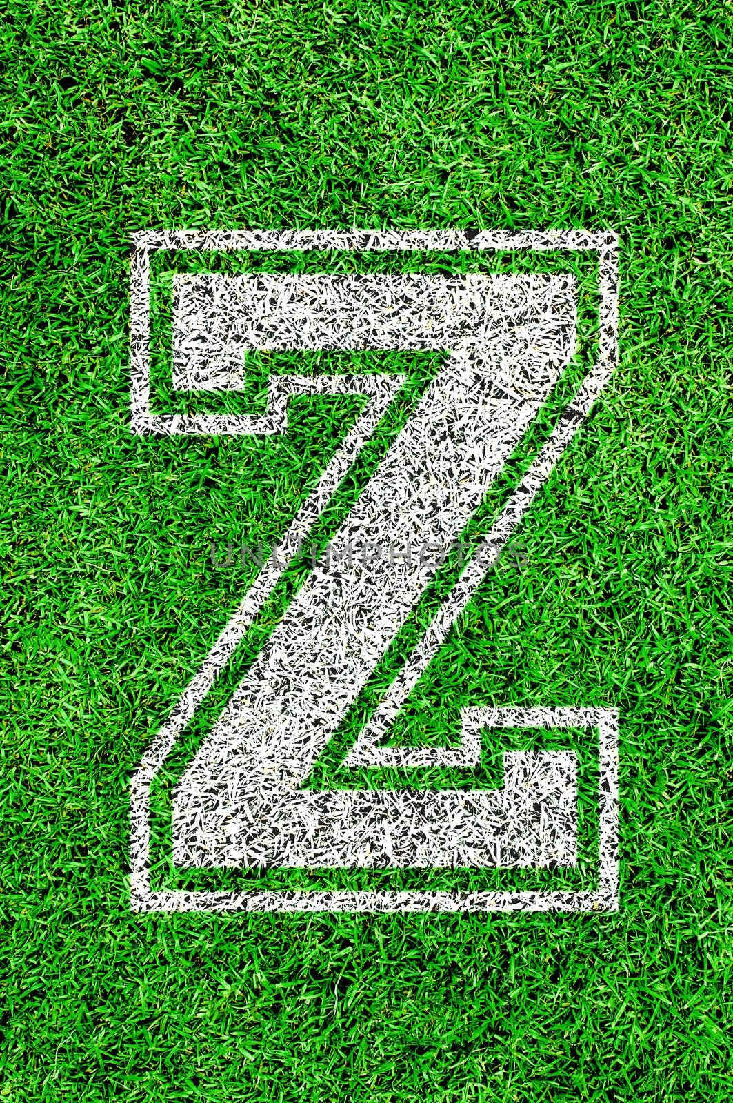 White english alphabeth on green grass
