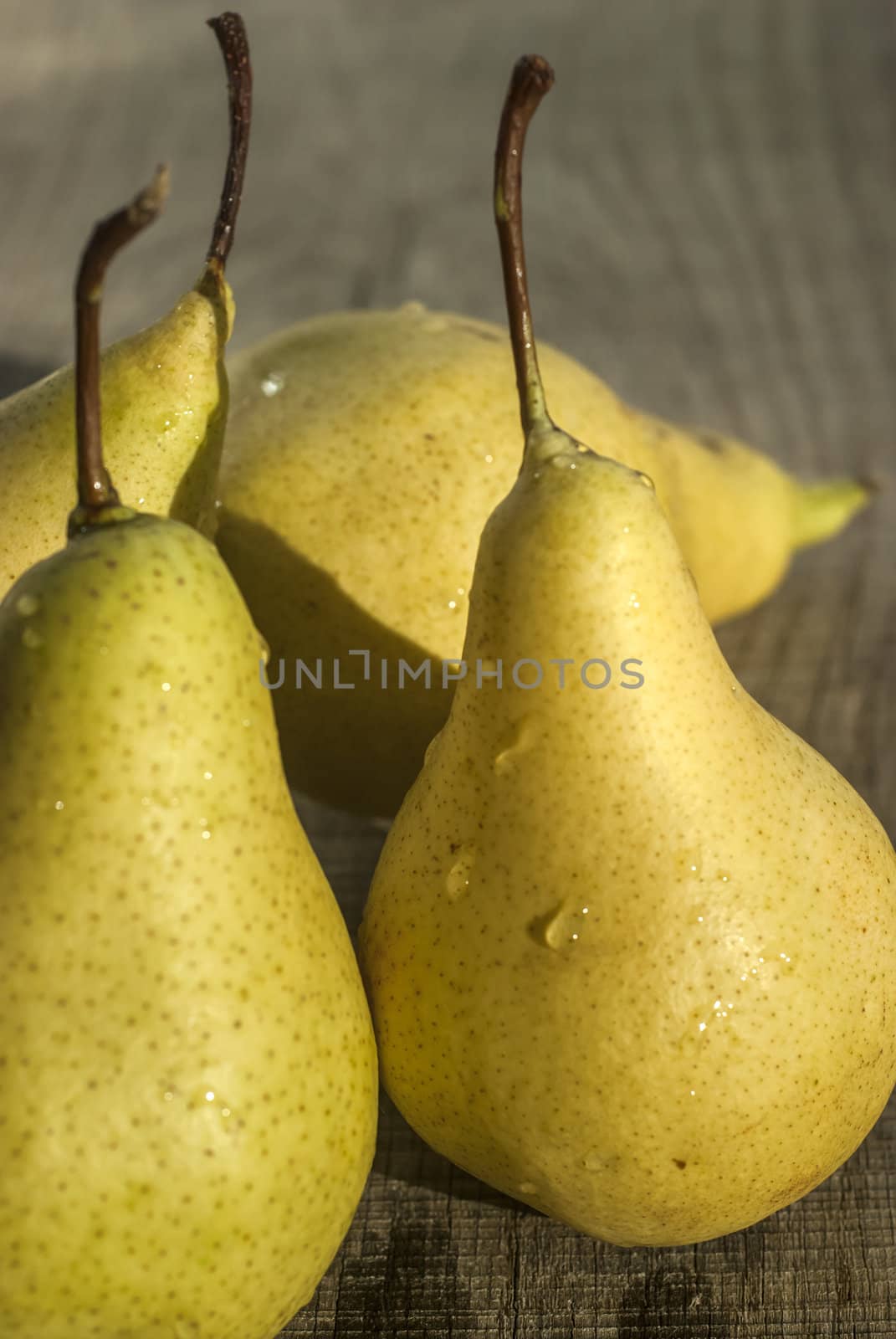 Fresh organic pears closeup on wooden board background